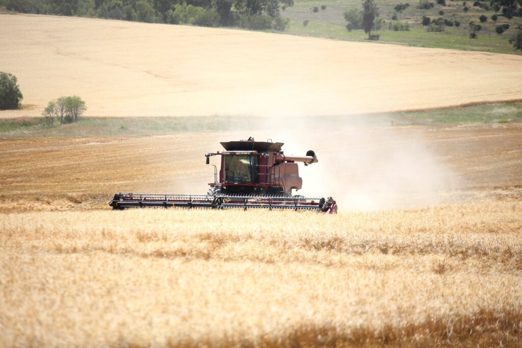 Earlston Pastoral Co - Phoenix Customer