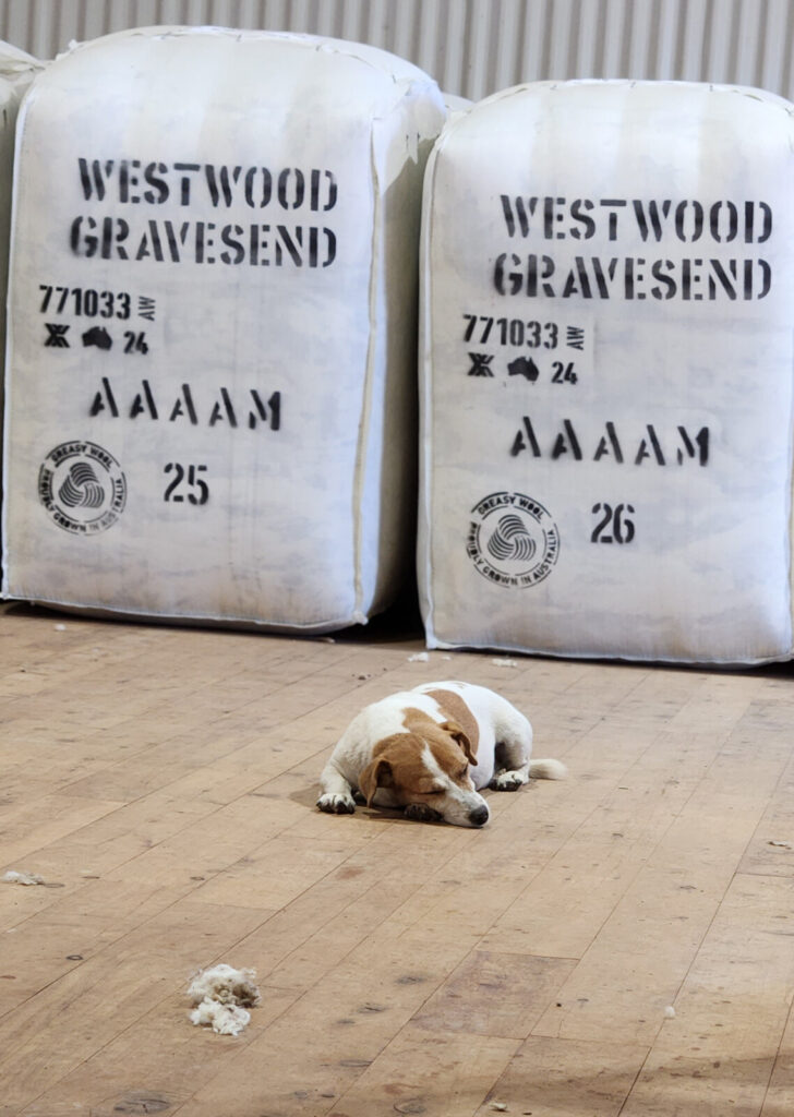 Earlston Pastoral Co - Phoenix Customer