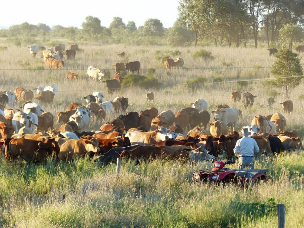 AGDATA farm management software for rotational grazing