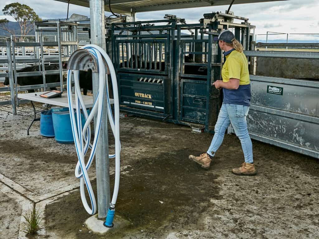 The Top 3 Phoenix Payroll Questions our Tech Support Team are Asked Each Week