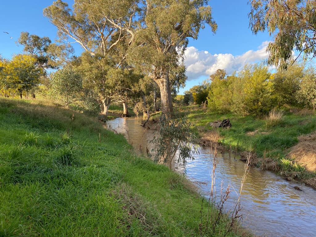 Sustainable Farming Initiatives at "Allawah" - Hopkins Pastoral Company