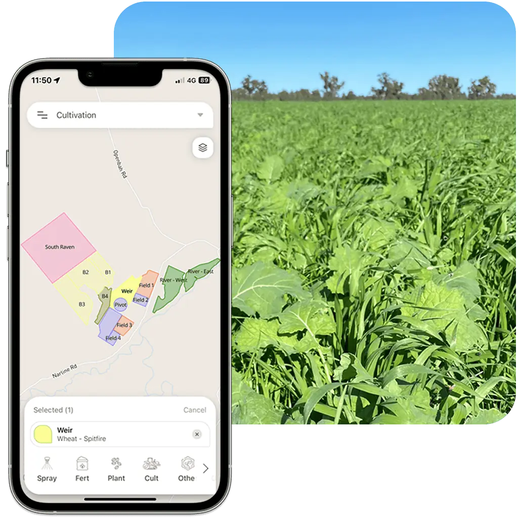Phoenix Cropping Module