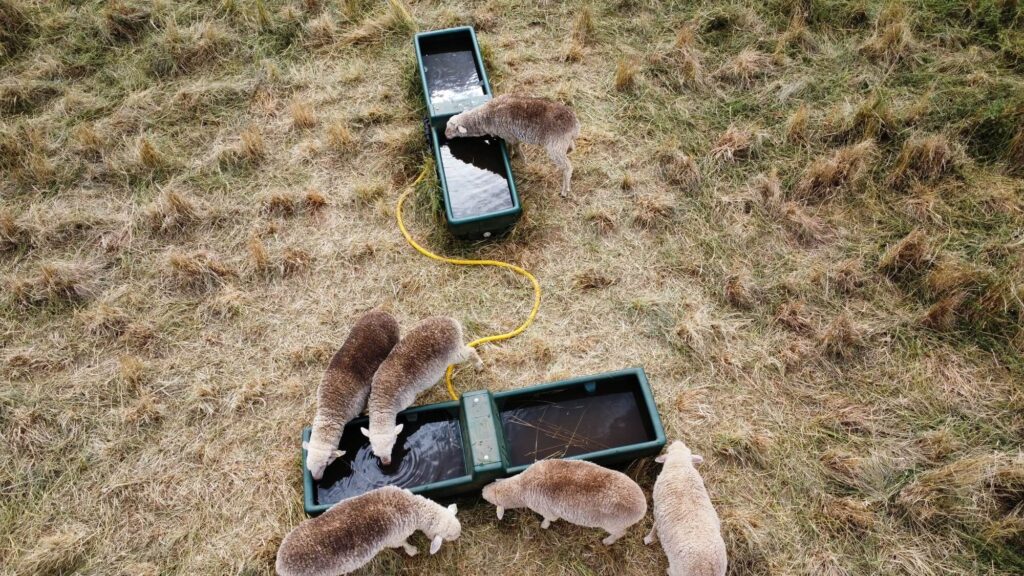 Andrew Rice - Farm Succession Planning Blog