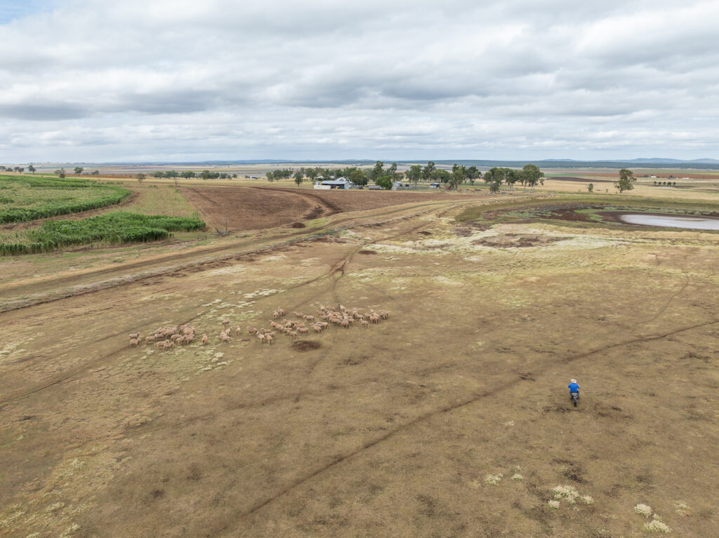 Cultivating Farm Safety on Australian Farms