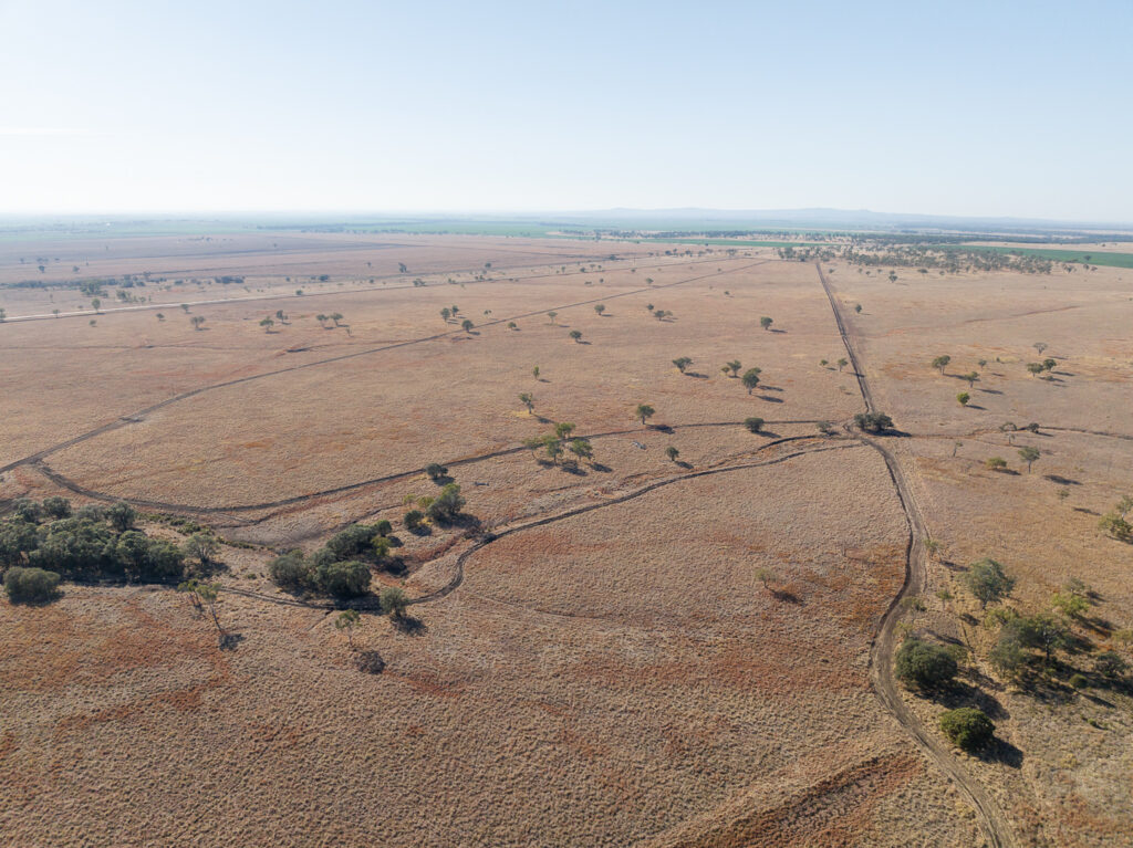 updating farm business plan with Phoenix by AGDATA