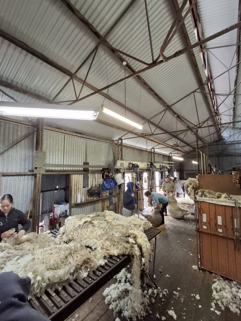 Melissa and Mark Beggs - Phoenix Customer