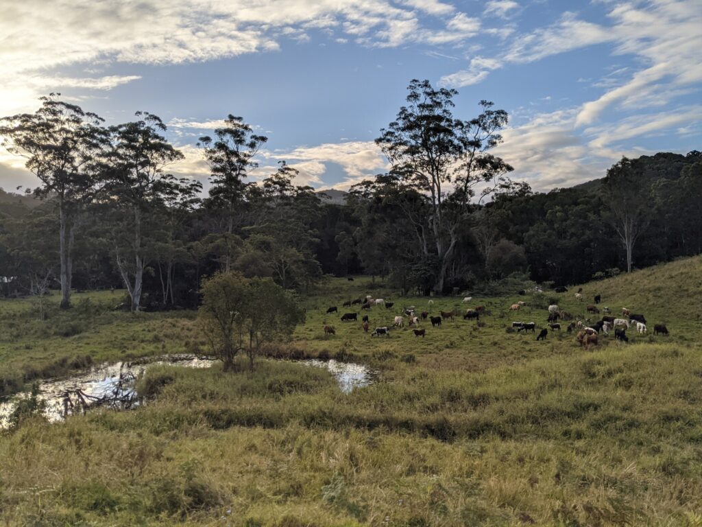 Bryant and Susie Ussher - Eastwell Farms - Phoenix by AGDATA customer