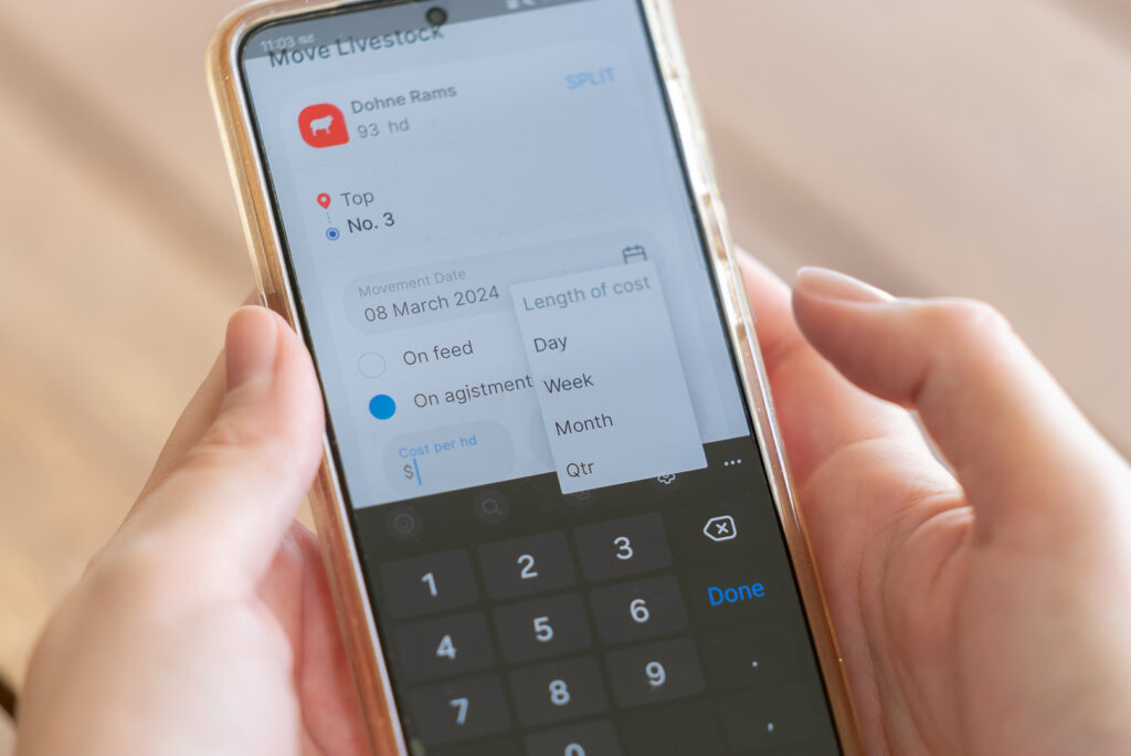 The hidden costs of poor livestock tracking