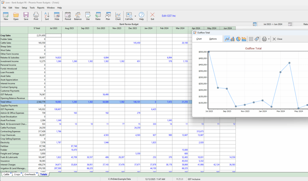 Phoenix Budgeting and Forecating